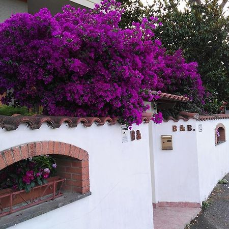 B&B Domus Gratiae Ostia Antica Exterior photo